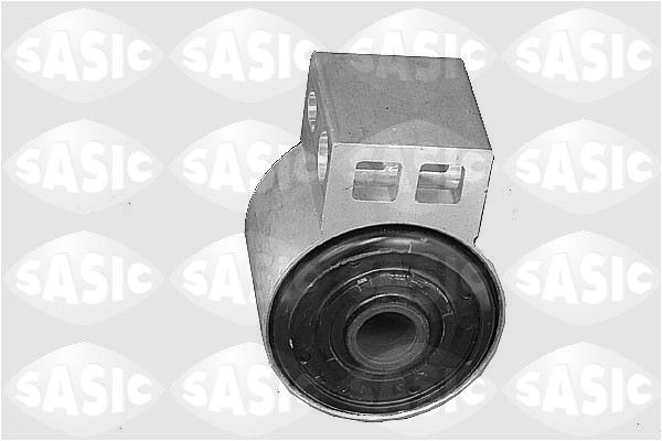 SASIC 9003116: Puks Esisild, taga, all