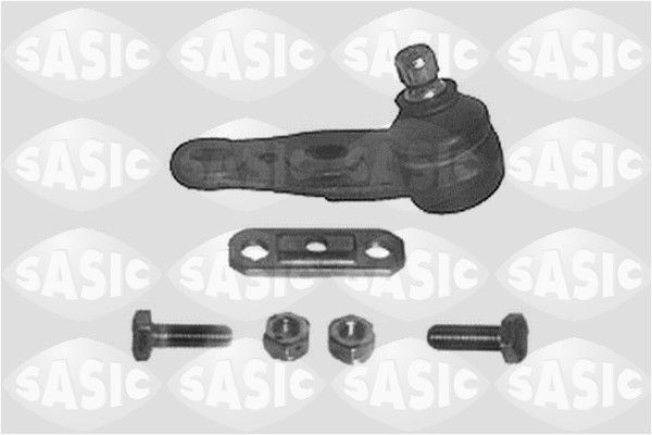 SASIC 9005201: Kande- / juhtliigend Esisild, all