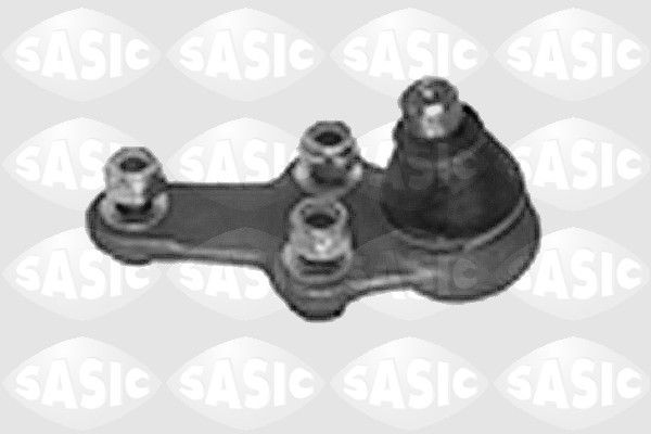 SASIC 9005249: Kande- / juhtliigend Esisild, all