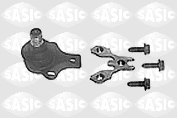 SASIC 9005261: Kande- / juhtliigend Esisild, all