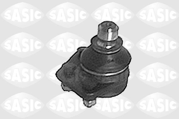 SASIC 9005262: Kande- / juhtliigend Esisild, all