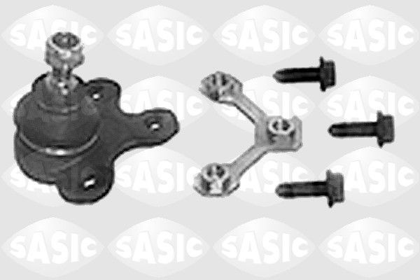 SASIC 9005269: Kande- / juhtliigend Esisild, all