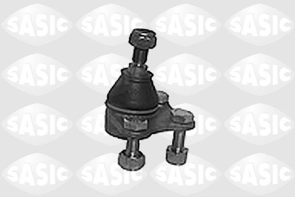 SASIC 9005284: Kande- / juhtliigend Esisild, all