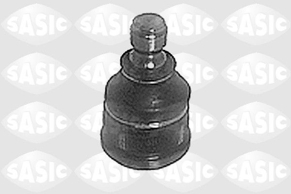 SASIC 9005287: Kande- / juhtliigend Esisild, all