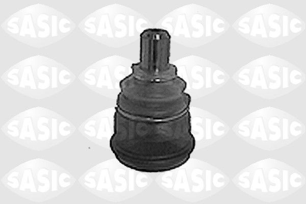 SASIC 9005289: Kande- / juhtliigend Esisild, all