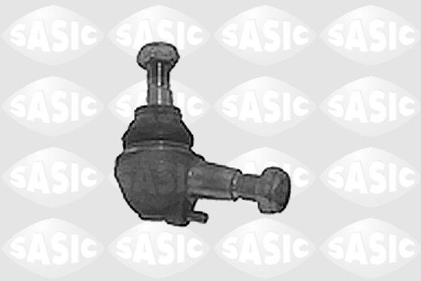 SASIC 9005291: Kande- / juhtliigend Esisild, all