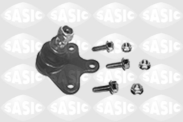 SASIC 9005479: Kande- / juhtliigend esisild paremal, all