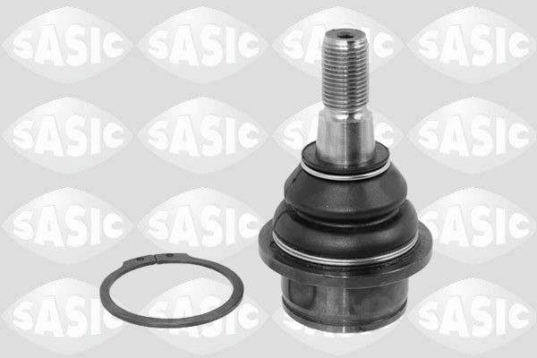 SASIC 9005526: Kande- / juhtliigend Esisild, all