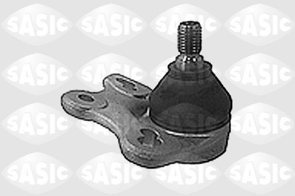 SASIC 9005533: Kande- / juhtliigend Esisild, all