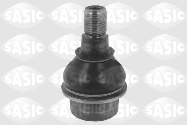SASIC 9005538: Kande- / juhtliigend Esisild, all