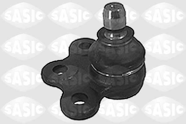 SASIC 9005541: Kande- / juhtliigend Esisild, all