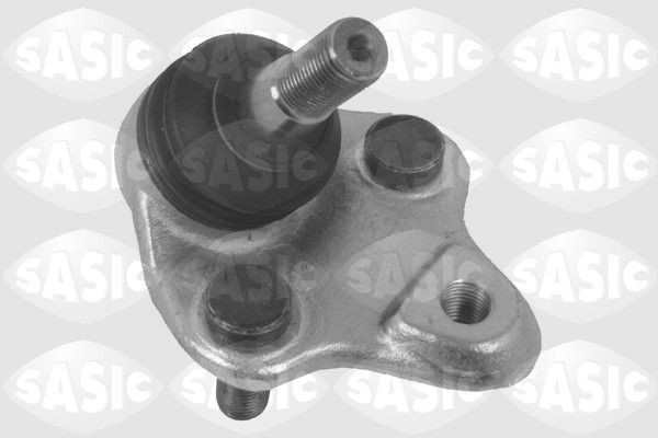 SASIC 9005568: Kande- / juhtliigend Esisild, all