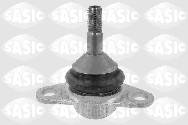 SASIC 9005582: Kande- / juhtliigend Esisild, all