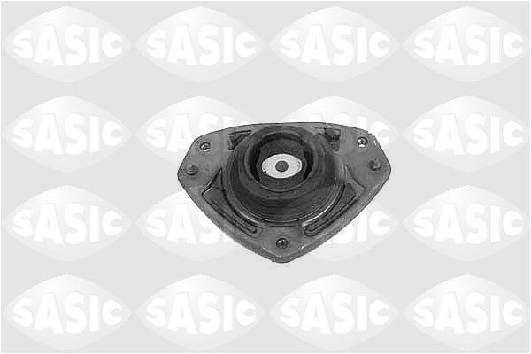 SASIC 9005619: Vedruamordi tugilaager Esisild