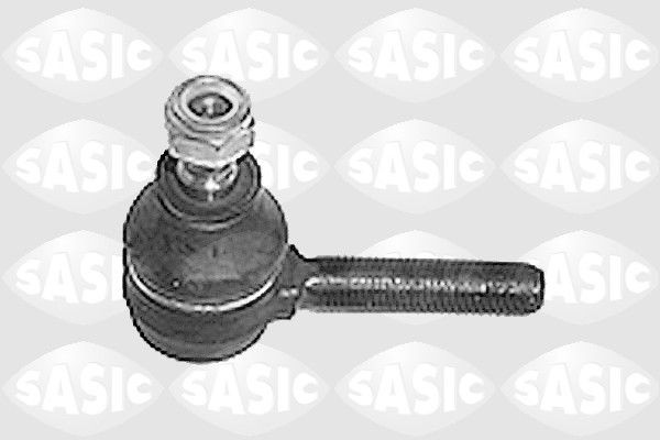SASIC 9006324: Rooliots Esisild, väljas