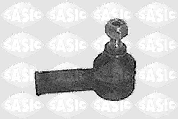 SASIC 9006357: Rooliots Esisild