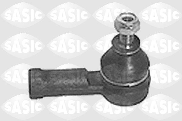 SASIC 9006360: Rooliots Esisild