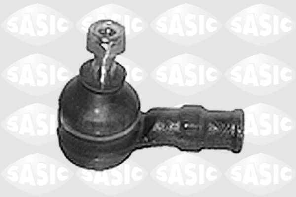 SASIC 9006374: Rooliots Esisild