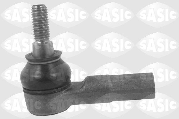 SASIC 9006465: Rooliots Esisild