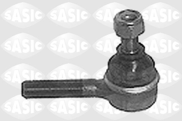 SASIC 9006478: Rooliots Esisild, väljas
