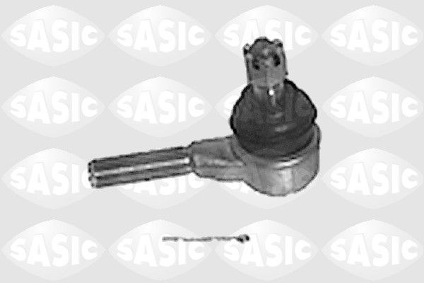 SASIC 9006547: Rooliots Esisild, väljas