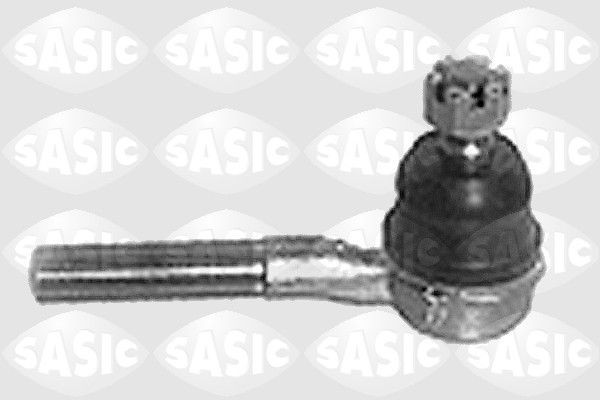 SASIC 9006548: Rooliots Esisild, väljas