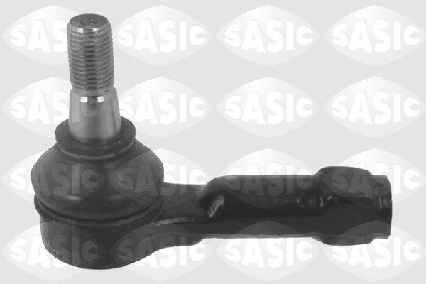SASIC 9006579: Rooliots Esisild