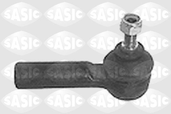 SASIC 9006588: Rooliots Esisild