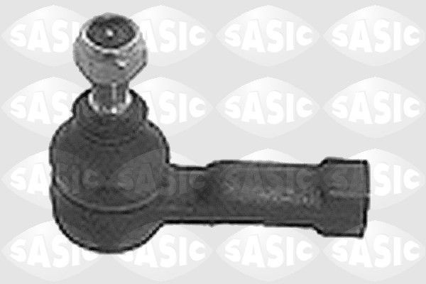 SASIC 9006600: Rooliots Esisild