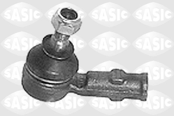 SASIC 9006609: Rooliots Esisild