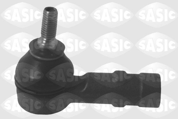 SASIC 9006667: Rooliots Esisild