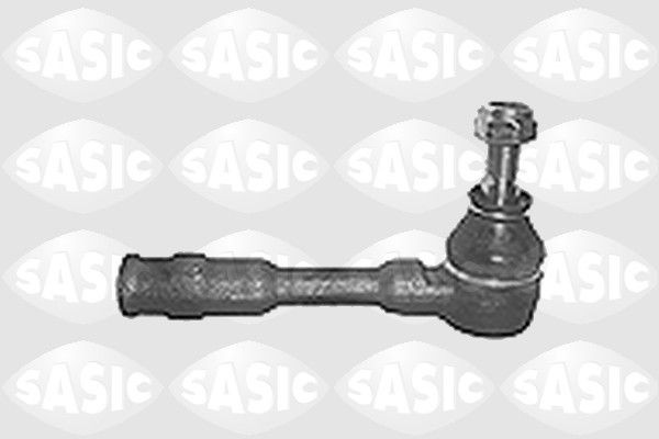 SASIC 9006691: Rooliots Esisild
