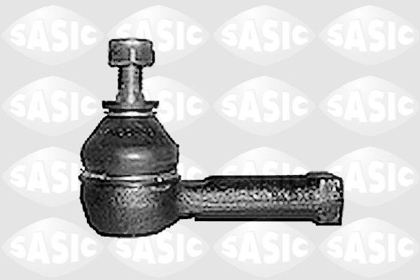 SASIC 9006692: Rooliots Esisild