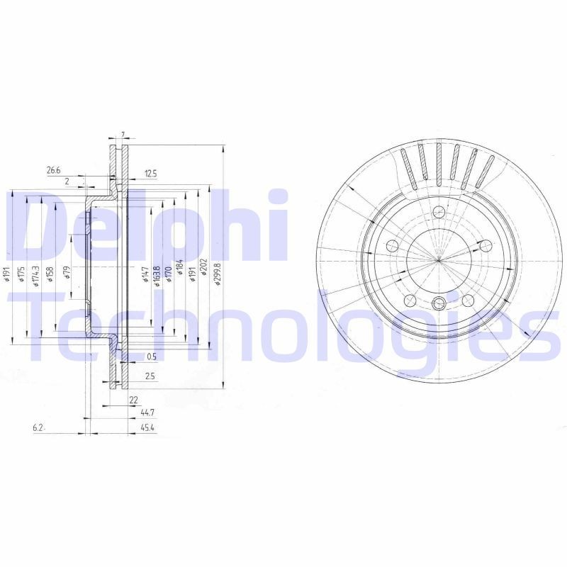 DELPHI BG3527: Piduriketas Ø: 300mm, õhutusega, Ø: 300mm, õlitatud