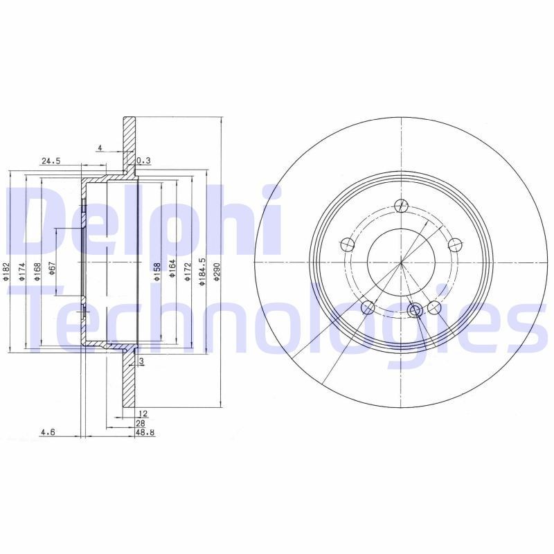 DELPHI BG3602: Piduriketas Ø: 290mm, täis, Ø: 290mm, õlitatud