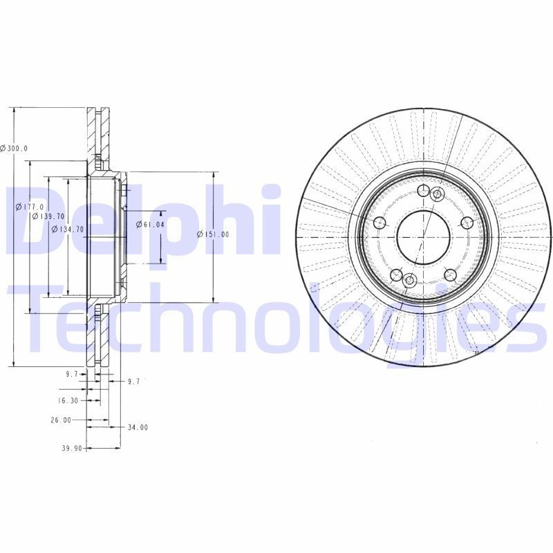 DELPHI BG3688: Piduriketas Ø: 300mm, õhutusega, Ø: 300mm, õlitatud