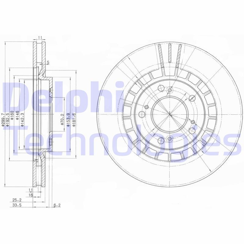 DELPHI BG3796: Piduriketas Ø: 300mm, õhutusega, Ø: 300mm, õlitatud