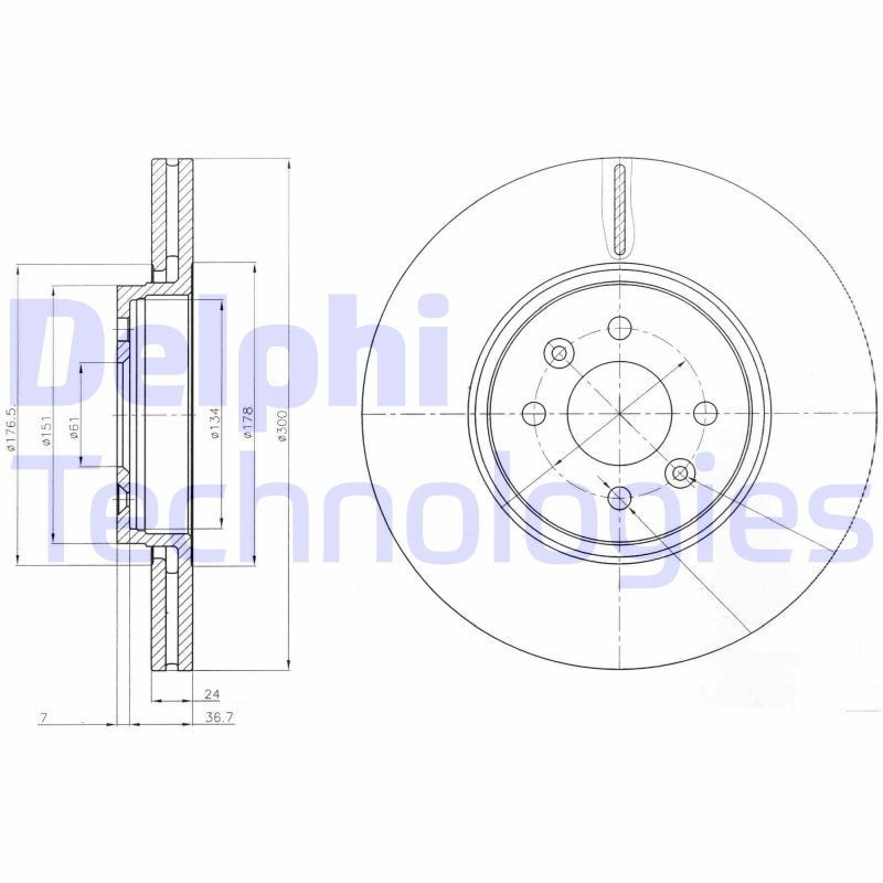 DELPHI BG3929: Piduriketas Ø: 300mm, õhutusega, Ø: 300mm, õlitatud