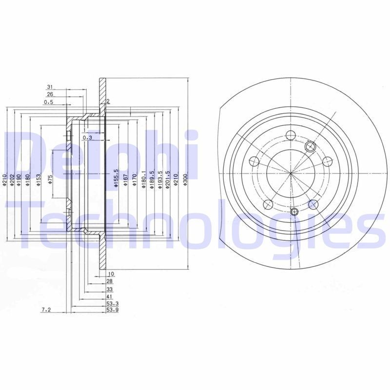 DELPHI BG2431: Piduriketas Ø: 300mm, täis, Ø: 300mm, õlitatud