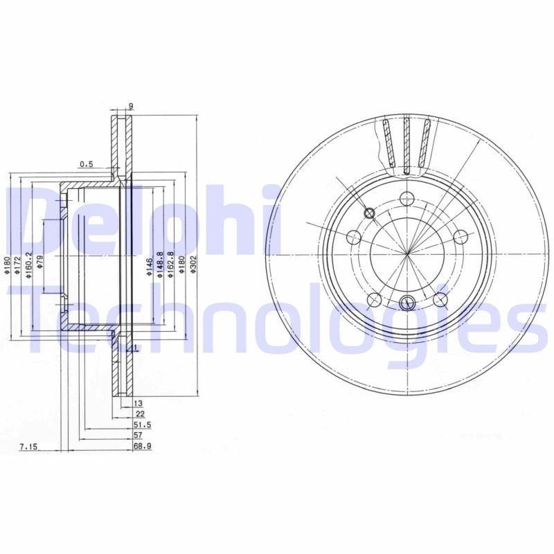 DELPHI BG2433: Piduriketas Ø: 302mm, õhutusega, Ø: 302mm, õlitatud