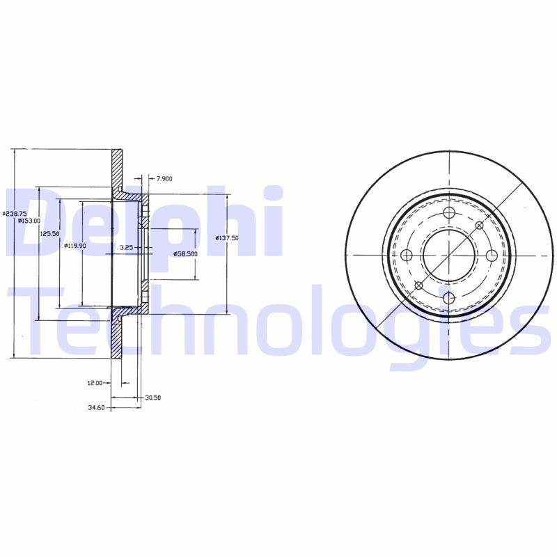 DELPHI BG2466: Piduriketas Ø: 239mm, täis, Ø: 239mm, õlitatud