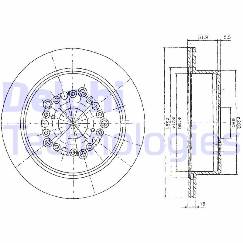DELPHI BG2662: Piduriketas Ø: 254mm, õhutusega, Ø: 254mm, õlitatud