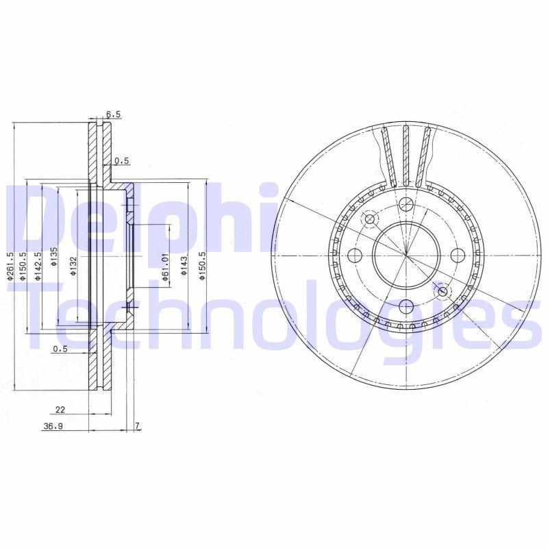 DELPHI BG2693: Piduriketas Ø: 262mm, õhutusega, Ø: 262mm, õlitatud
