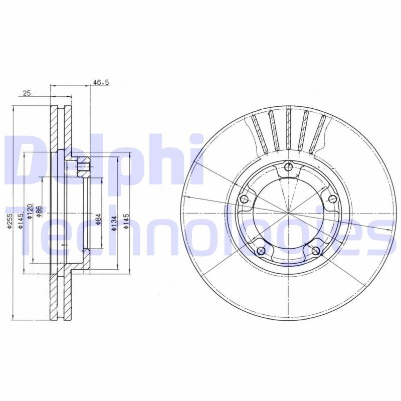 DELPHI BG3174: Piduriketas Ø: 255mm, õhutusega, Ø: 255mm