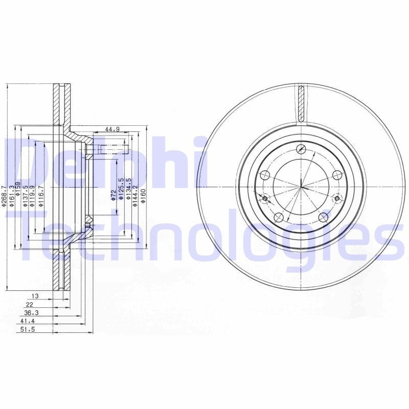 DELPHI BG2199: Piduriketas Ø: 269mm, õhutusega, Ø: 269mm