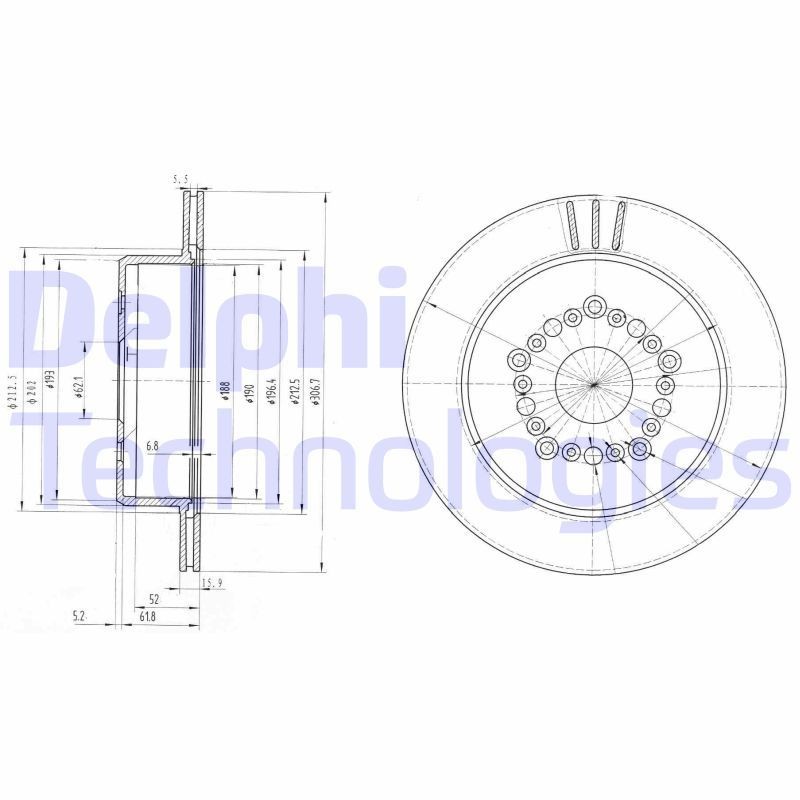 DELPHI BG3230: Bremseskive Ø: 307mm, ventileret, Ø: 307mm, olieret