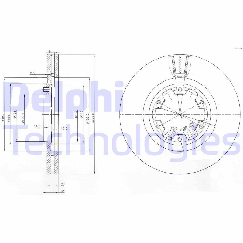 DELPHI BG3972: Piduriketas Ø: 300mm, õhutusega, Ø: 300mm, õlitatud