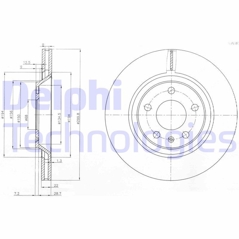 DELPHI BG3997: Piduriketas Ø: 300mm, õhutusega, Ø: 300mm, õlitatud