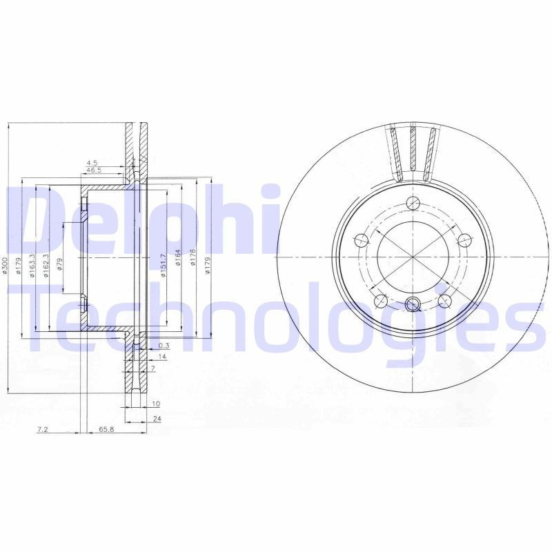 DELPHI BG3998: Stabdžių diskas Ø: 300mm, ventiliuojama, Ø: 300mm