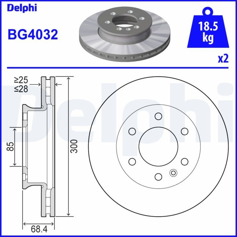 DELPHI BG4032: Piduriketas Ø: 300mm, õhutusega, Ø: 300mm, õlitatud